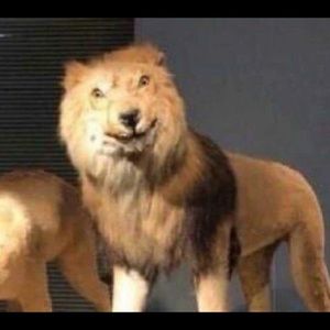 Meet your Posher, Edgar